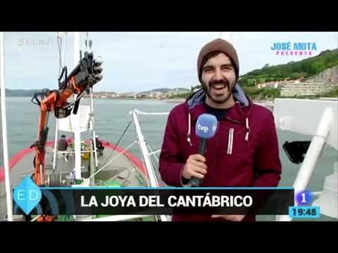 Elaboración de anchoas de Santoña | Conservas Consorcio