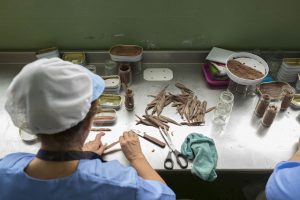 Limpieza de las anchoas una a una