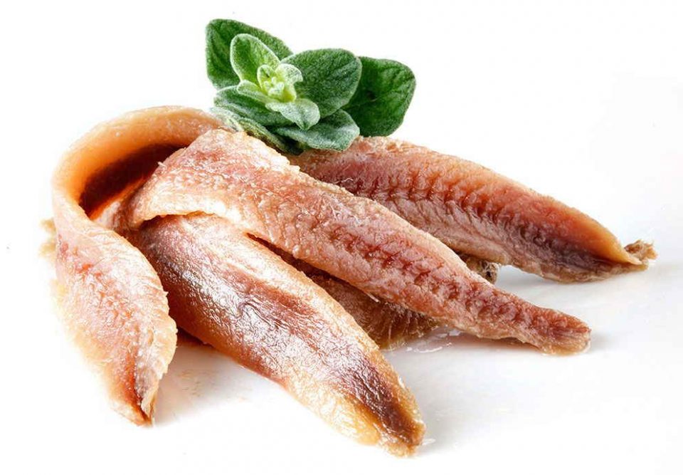 Comprar anchoas de Cantabria