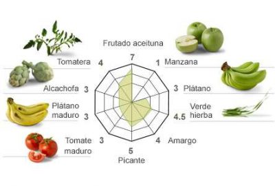 Cata del aceite arbequina casas de Hualdo