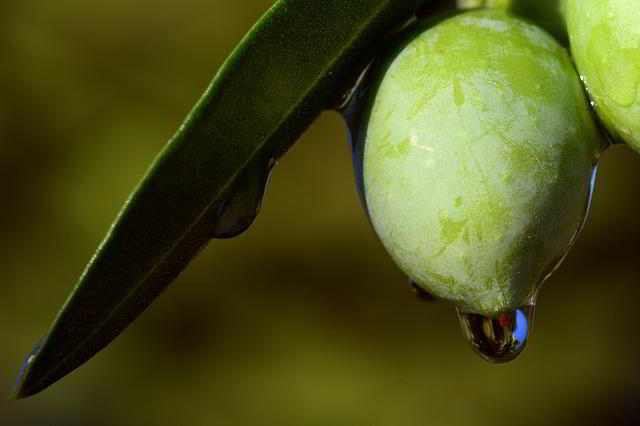 Aceite prensado en frio